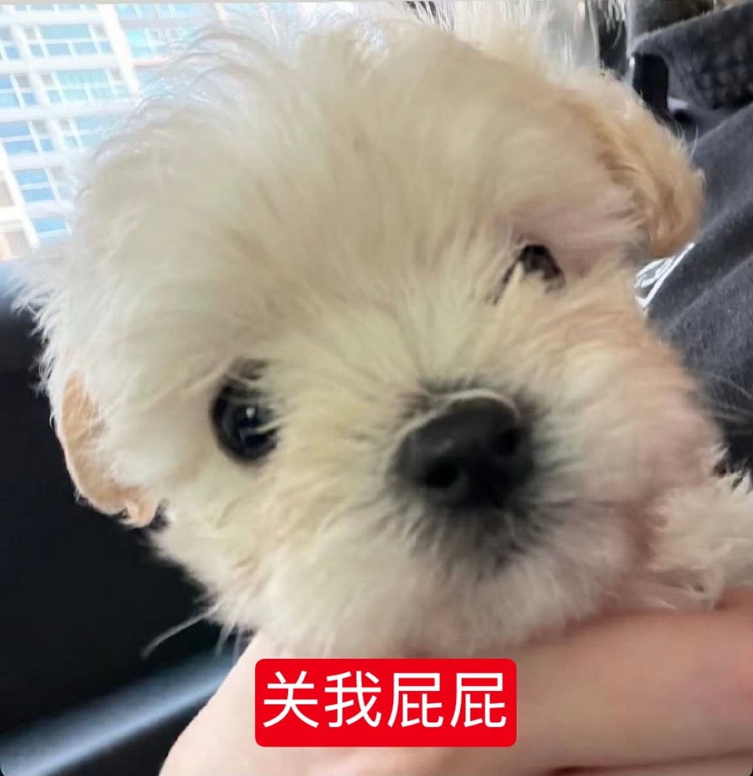 分享图片 