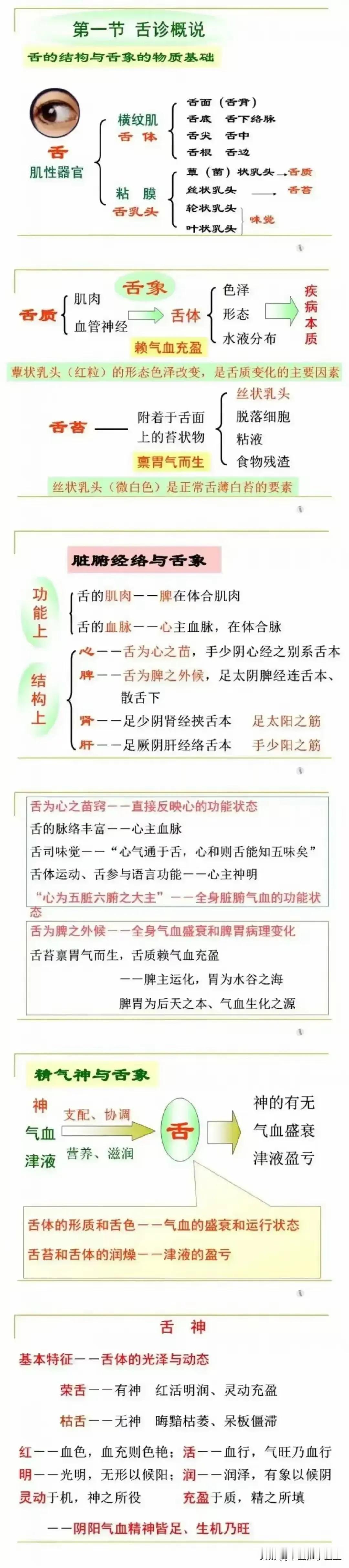 你是否对中医舌诊感到好奇？今天给大家带来一份超详细的中医舌诊学习笔记，让你轻松掌
