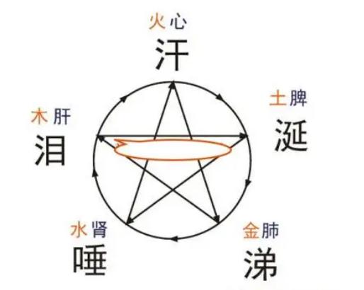 脾管口水，肺管鼻涕，肾管唾液，五脏好不好，看看五液就知道！[谢谢][谢谢][谢谢