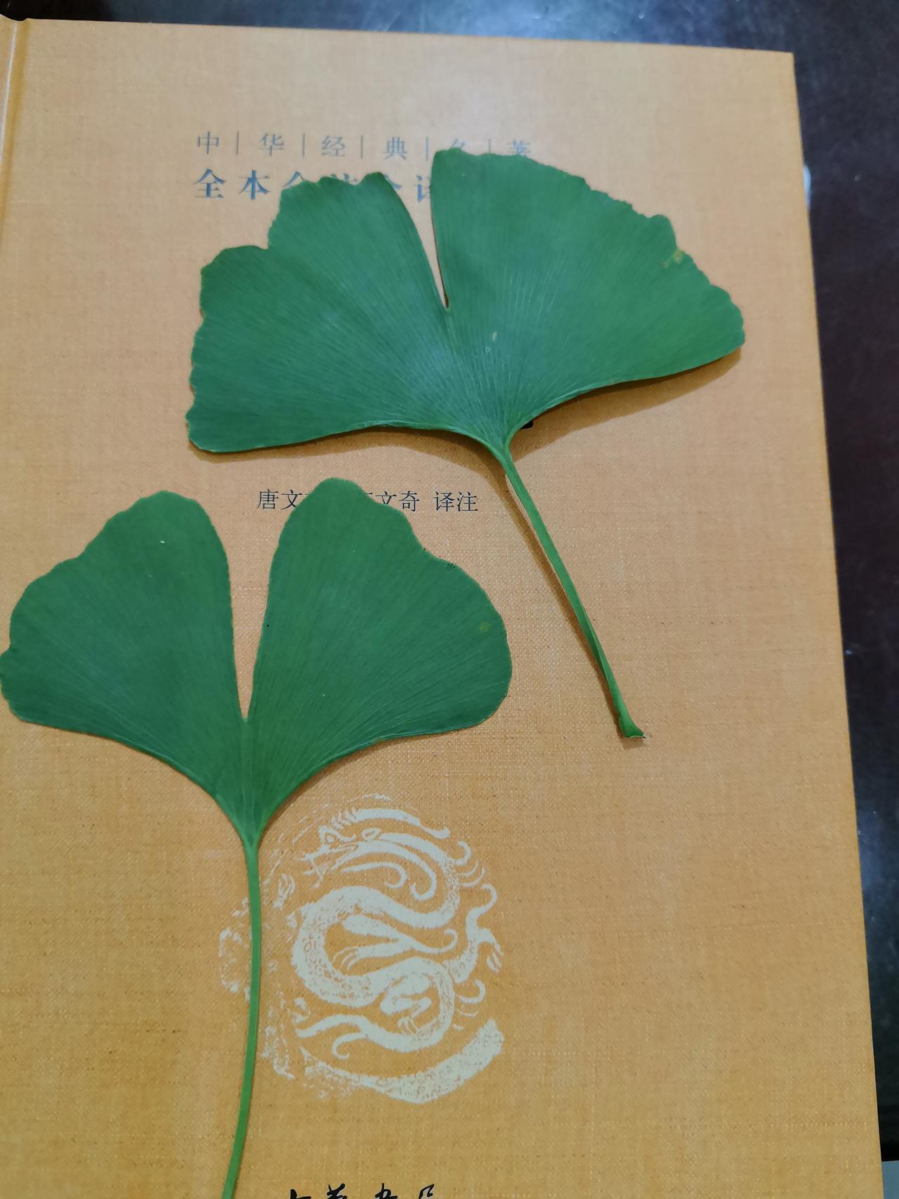 1.我素来不喜欢用质问的语气跟别人说话，自然也不喜欢别人用质问的语气跟我说话，互