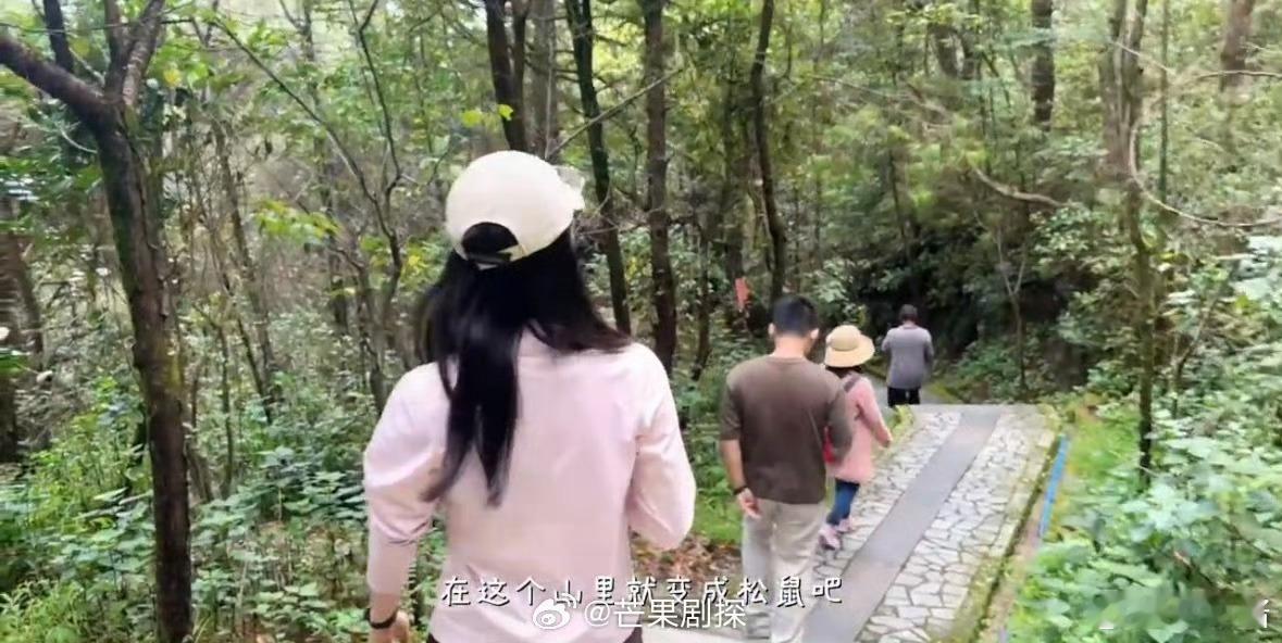 张婧仪想变成山里的松鼠张婧仪爬山偶遇阿姨讨茶喝谁被沉浸在山野里的张婧仪治愈到了，