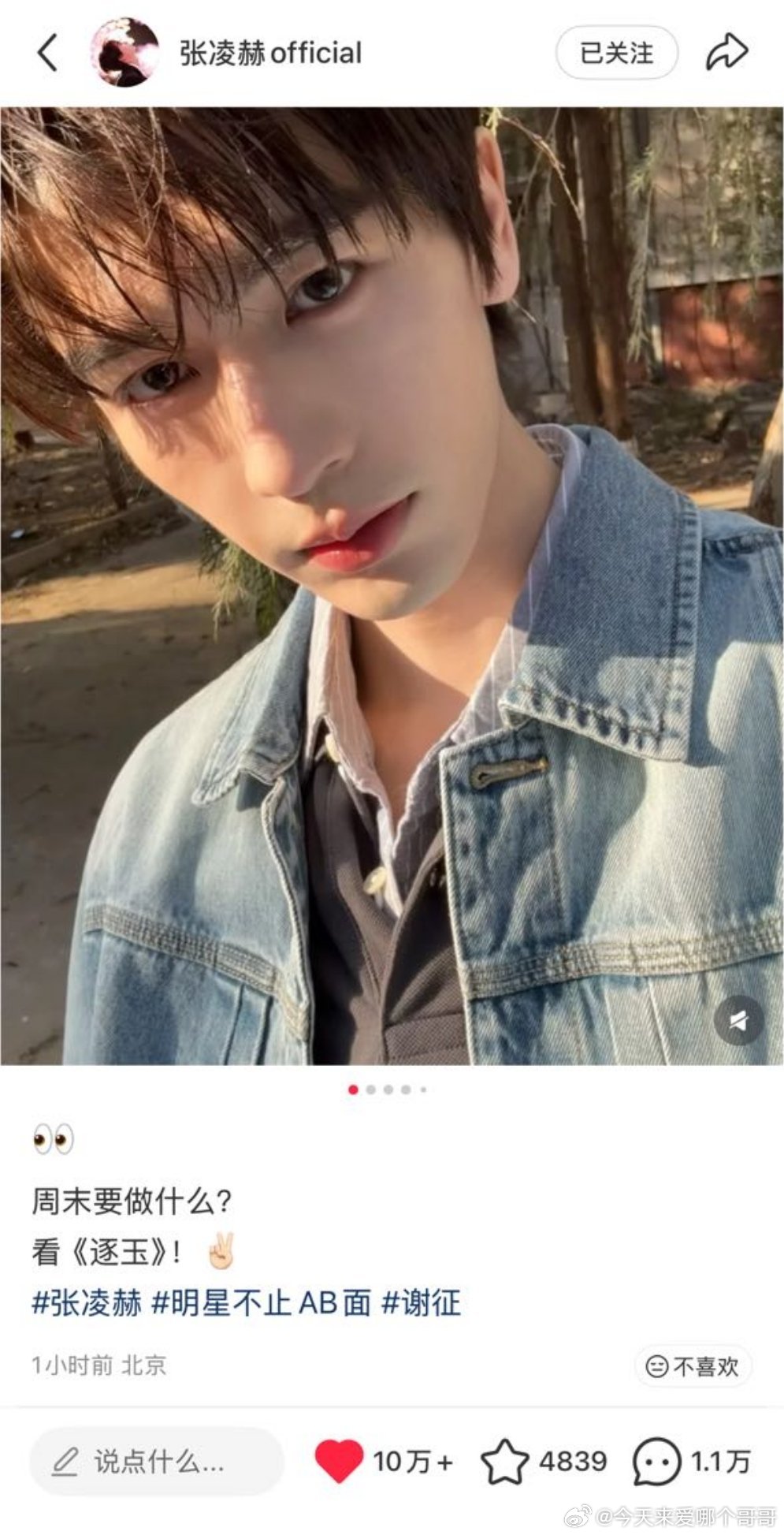 张凌赫工作室的小红书账号，1个小时10w+点赞。逐玉播出15天，张凌赫小红书阅读