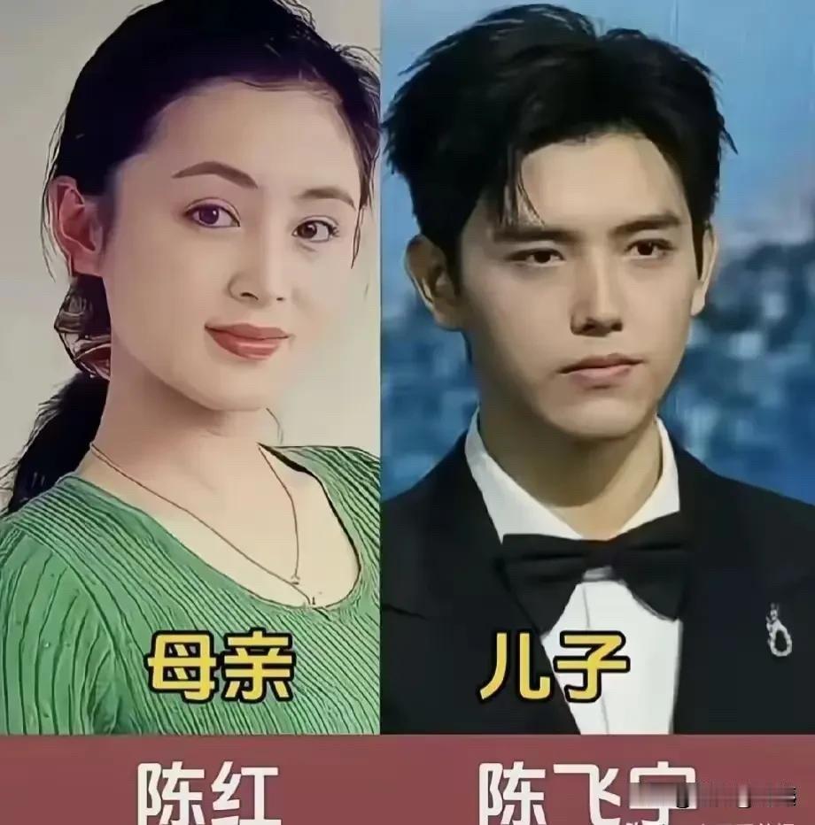 明星妈妈与儿子同框，基因的力量藏都藏不住。
都说孩子是父母的一面镜子，尤其是儿子