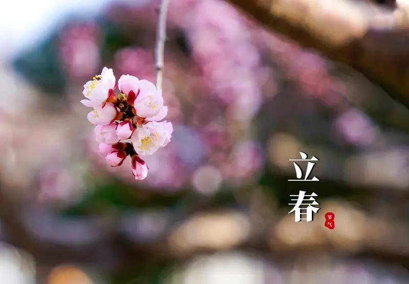 AI妙生图今天立春，马年的之春来得早。