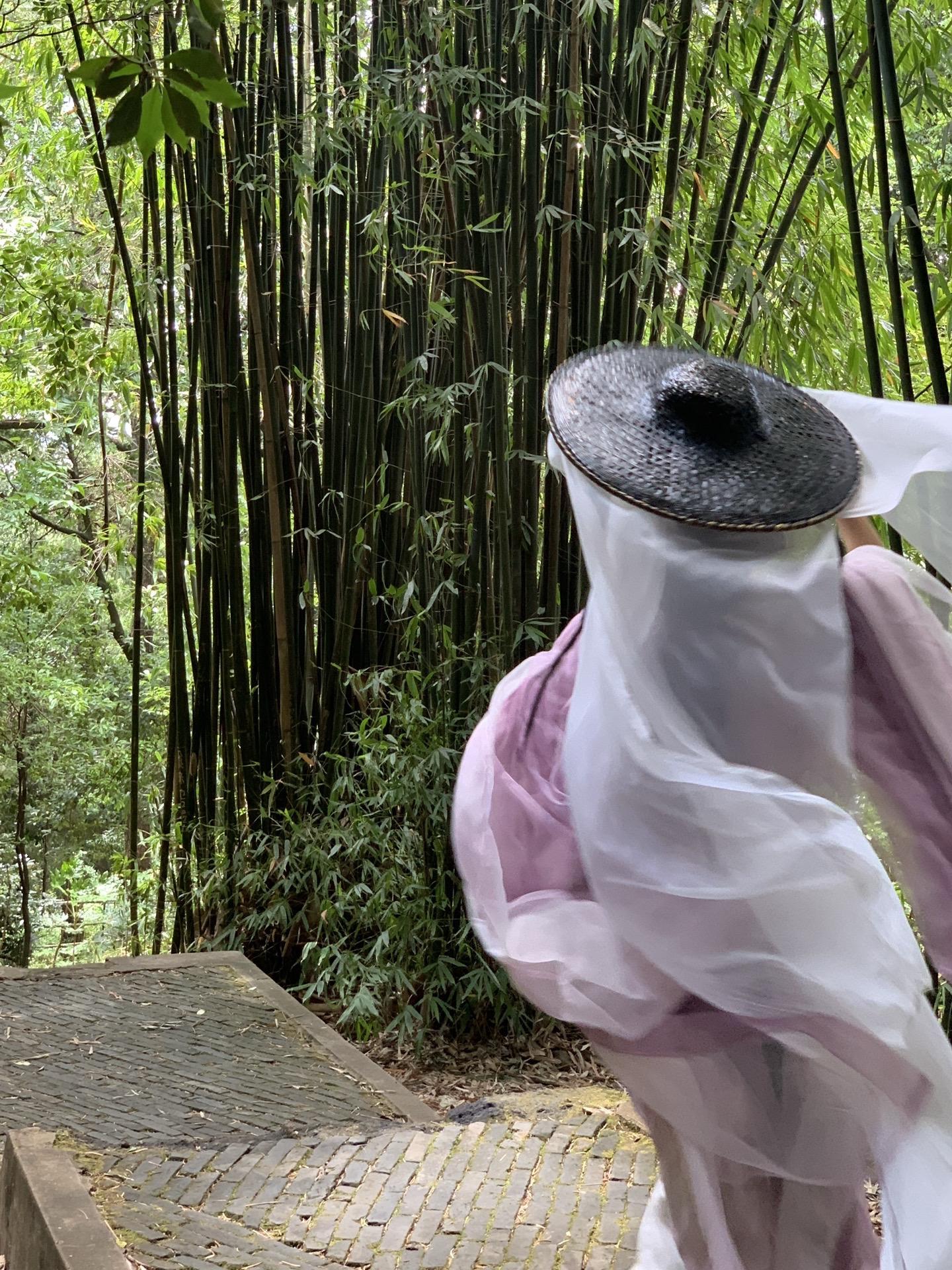 喜欢大自然带来的氛围感