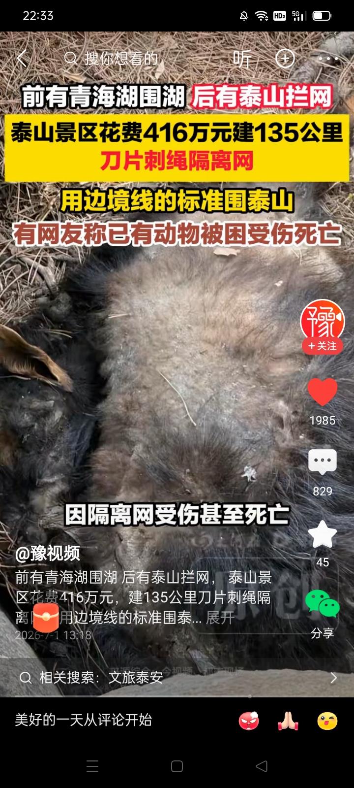 泰山刀片隔离网，围得住 ‘’和谐平安‘’吗？
*杜甫《望岳》：岱宗夫如何，齐鲁青