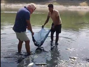 印度遇极端高温仅差2度不到50，河里的鱼儿飘满水面腥臭难闻！

印度正经历着严峻
