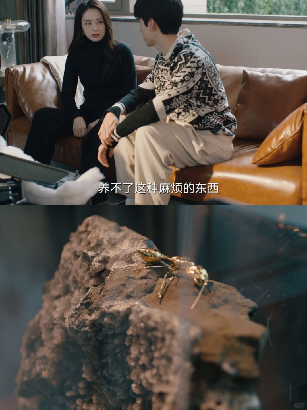 🆘徐斯，这就是你说的《更好养的花》吧❗
