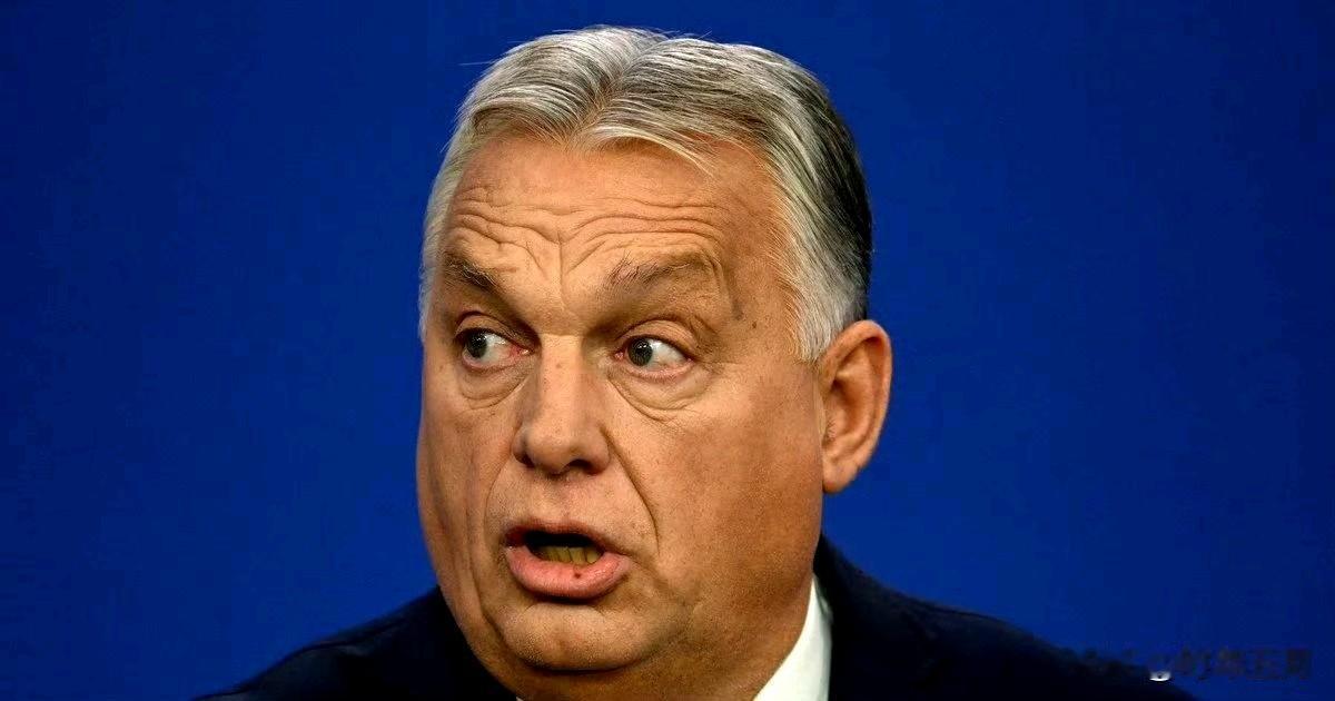 奥尔班的称欧盟和乌克兰向匈牙利"宣战"
他在评论《政客》杂志关于乌克兰可能在20