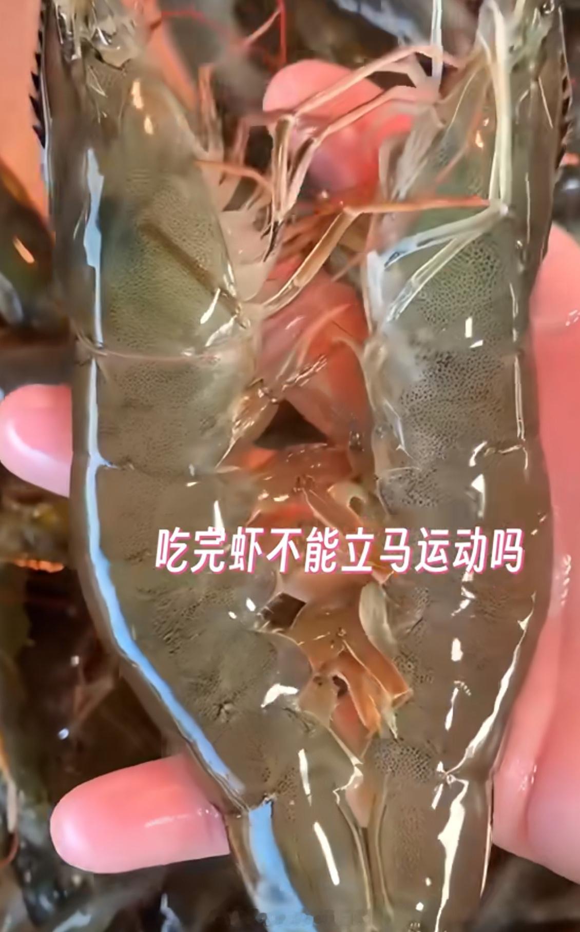 吃完虾千万不要剧烈运动这下找到摆烂的正当理由了，馋和懒同时出现，合着全是身体在暗
