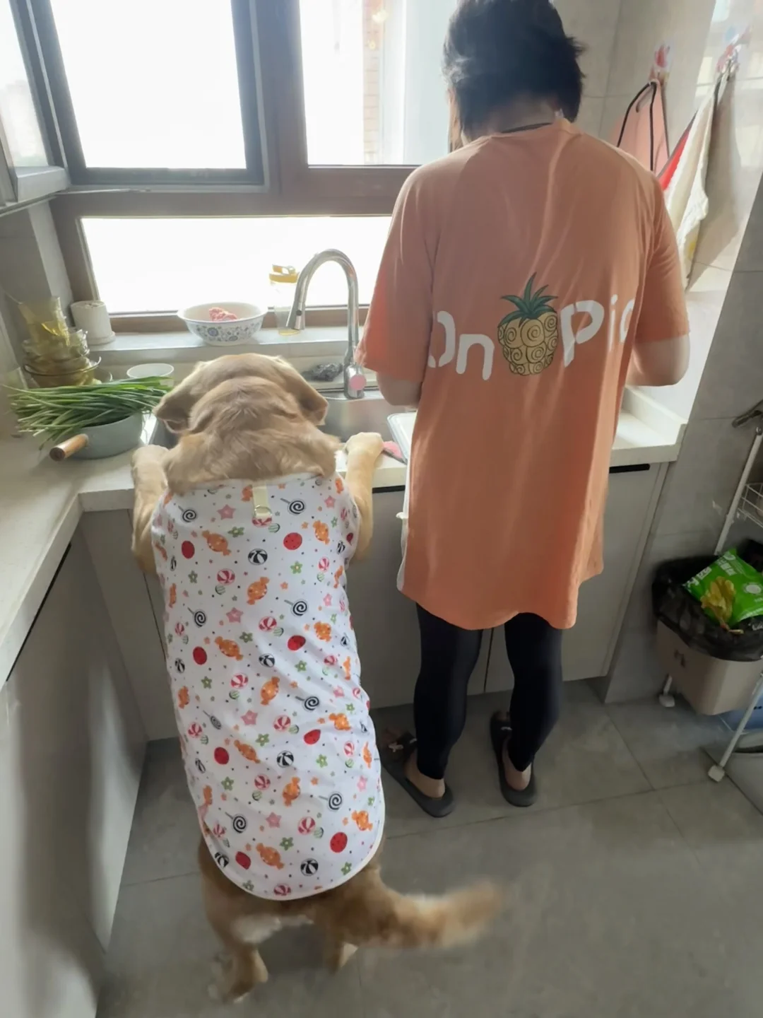 小狗的厨房日记