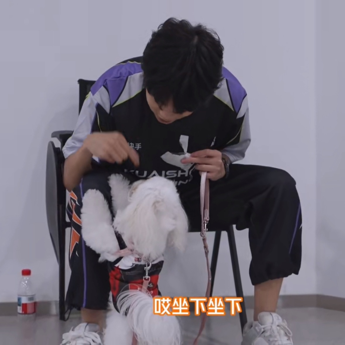 我是壮壮，被张恒训的活动还在吗 
