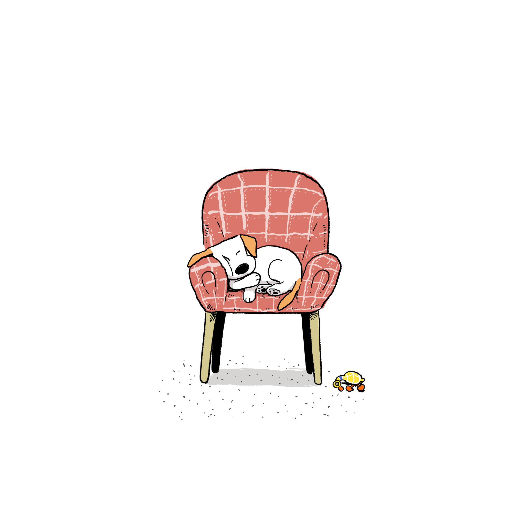 安心睡吧小狗。