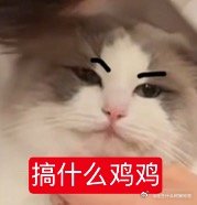 这个卢卡库面相有点不耐烦笑死我了 