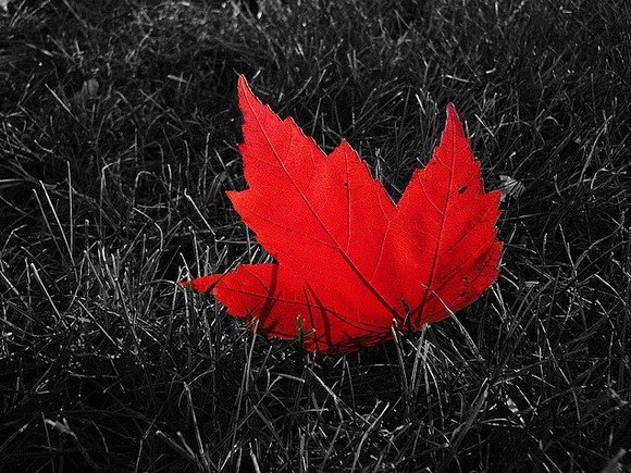 不发脾气，只是因为我人好，可惜，善良却往往被以为是懦弱，人好就被欺负，这样看来，