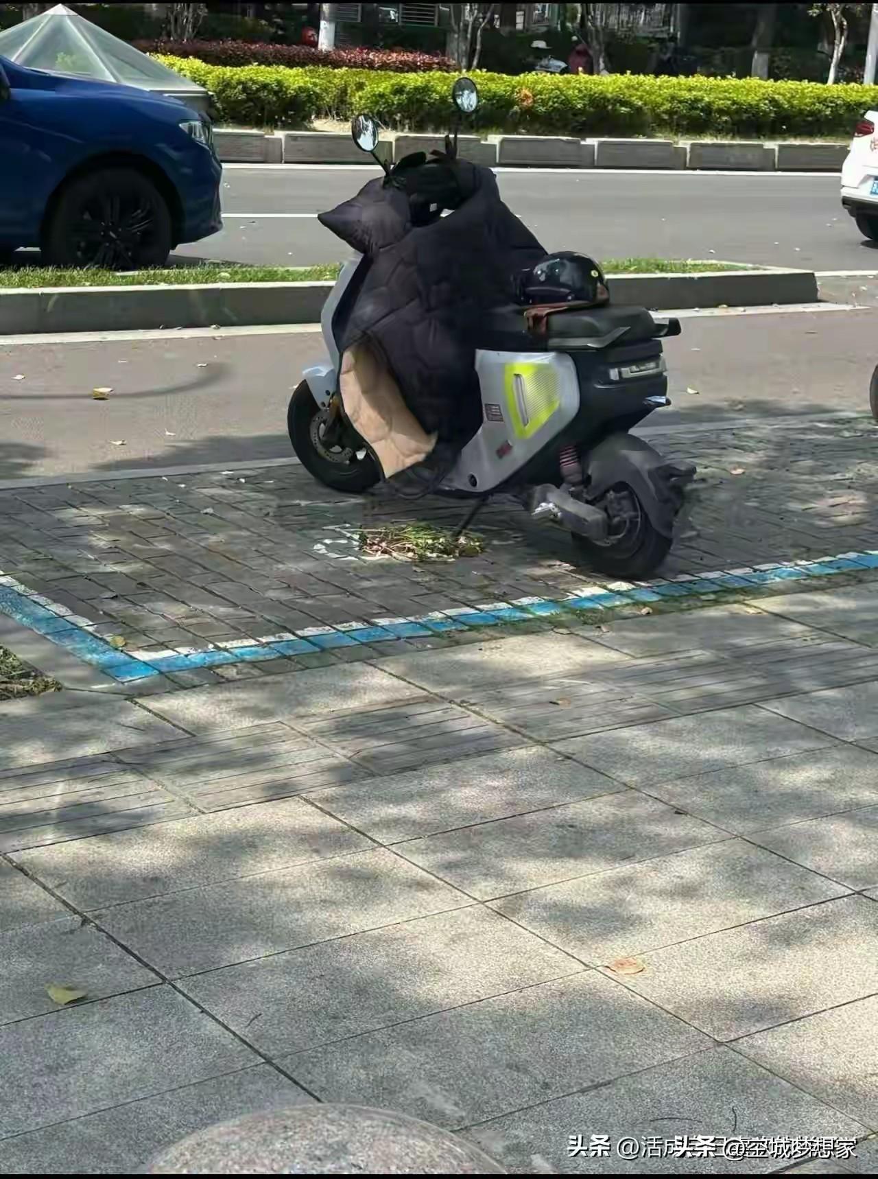 张雪峰走了，那辆陪他的小毛驴，还守在路边
 
刷到这张图，心里更不是滋味。阳光下