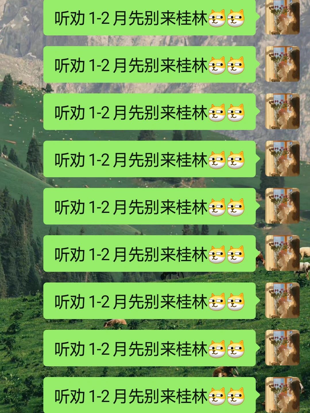 宝子们听劝1-2月去桂林的姐妹👭这份攻略看