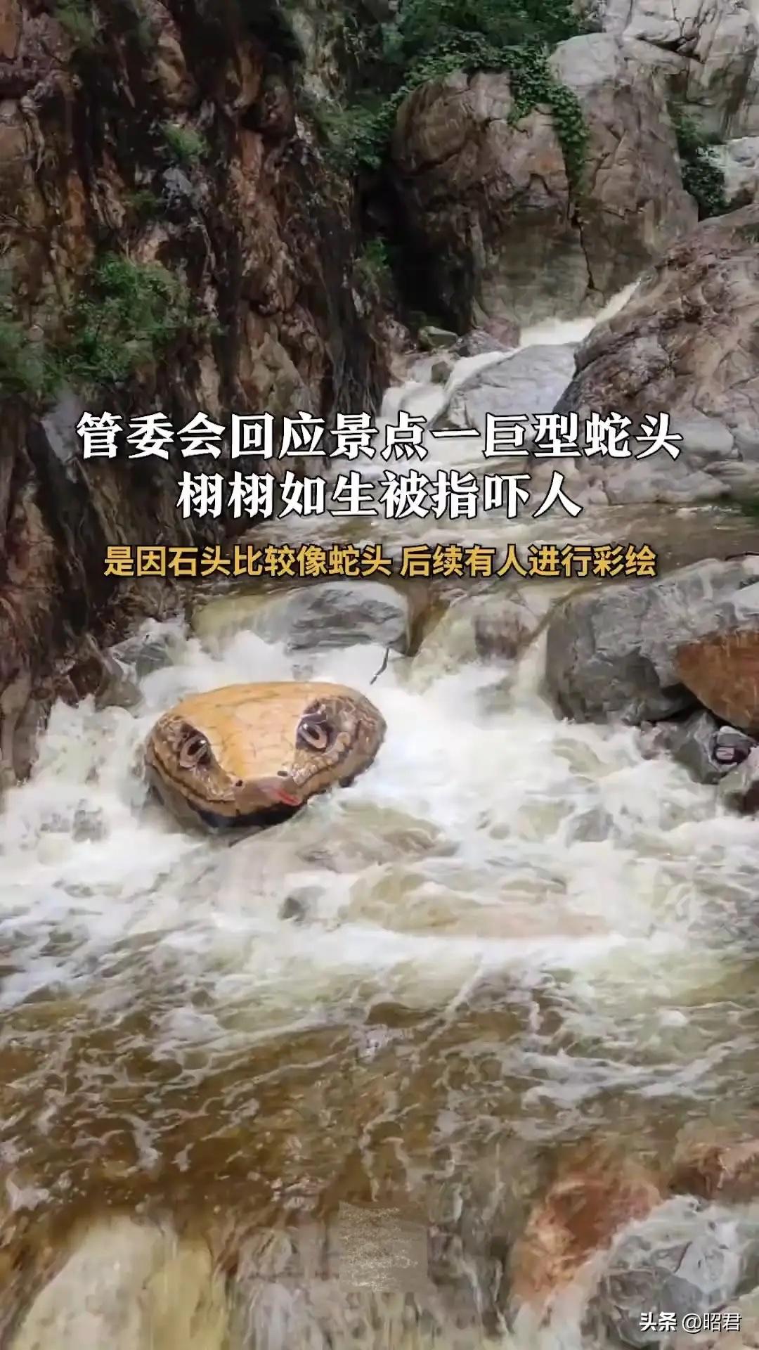 河南一景区惊现一个巨大的蛇头，游客们吓得四处逃窜，连拍照的人的手都抖了。视频上传