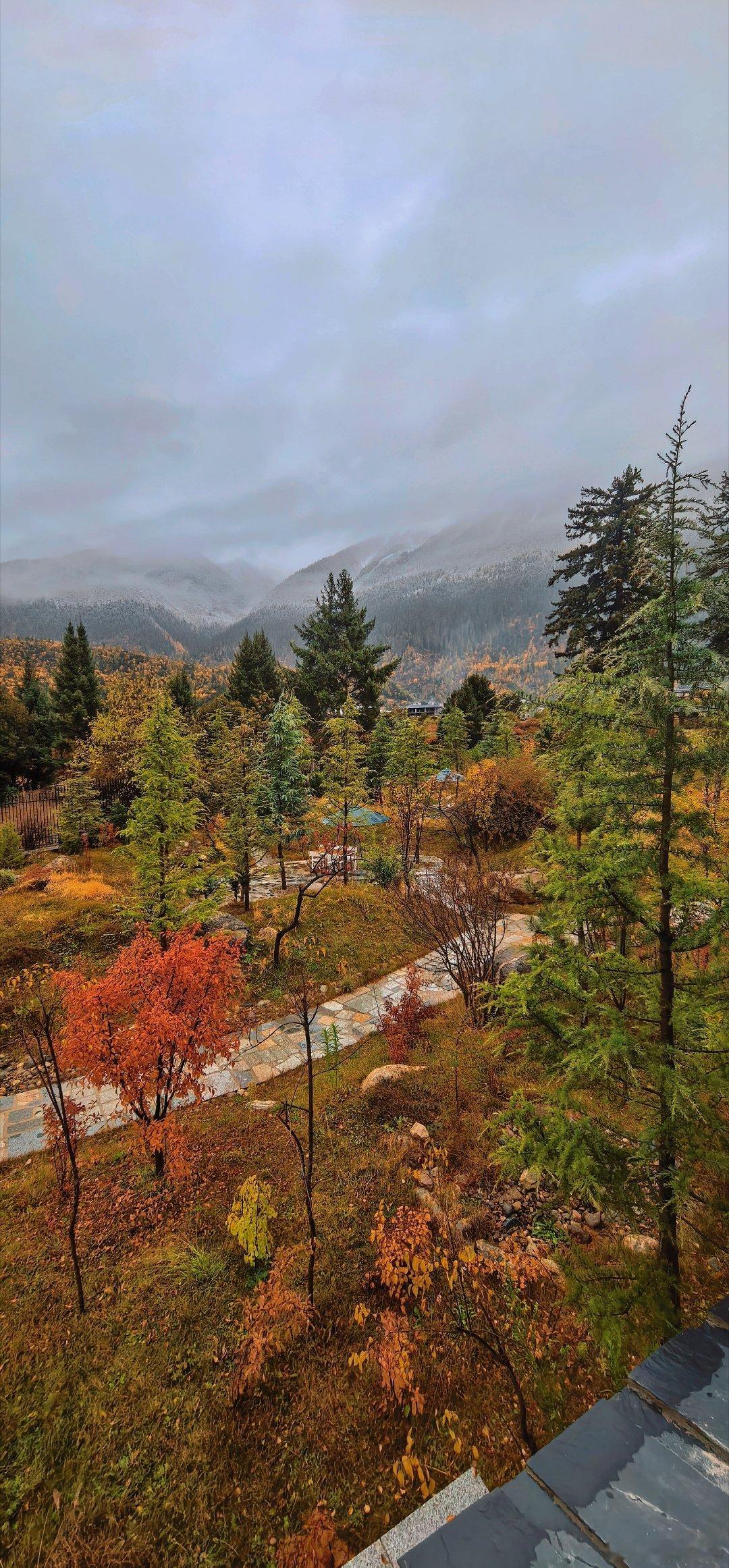 巴松措的木屋酒店，这是最好的季节了吧。  ​​​