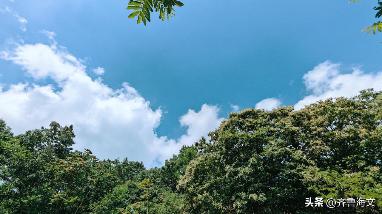 分享一张相册里随手拍的天空