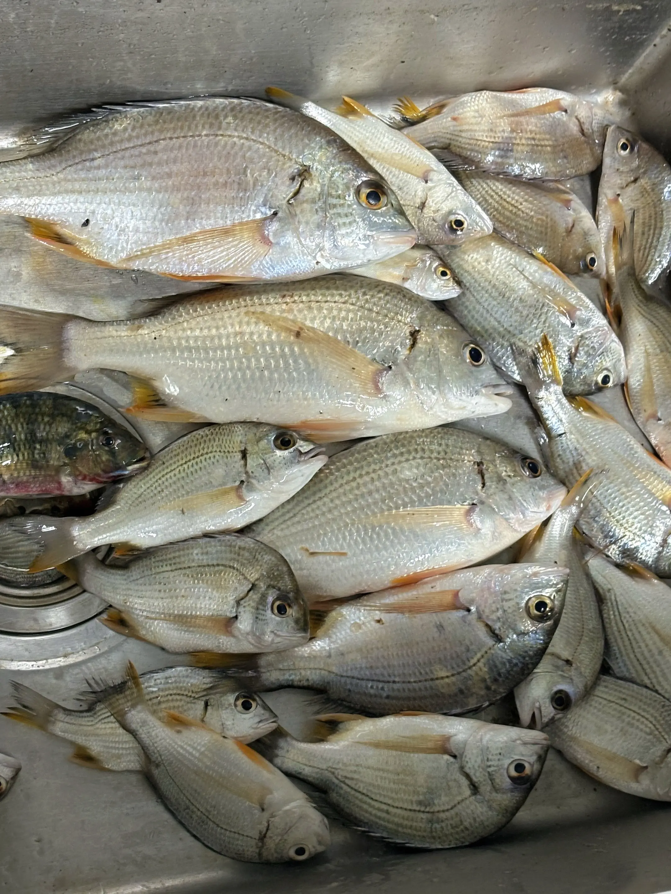 哎呀 太累了不玩了晒成黑不溜秋了