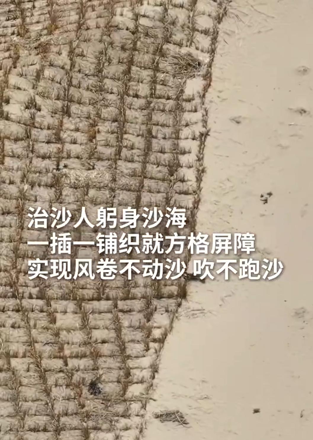 毛乌素沙地之后，下一个是塔克拉玛干沙漠？

5000多亩的草方格。看清楚，不是5