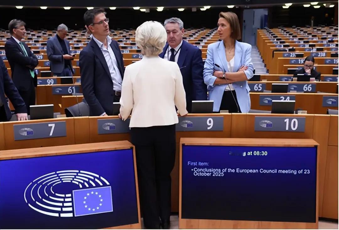 观其言更要看其行。近日，欧盟的“温柔话术”藏着硬算计，一边用温和言辞求合作，一边