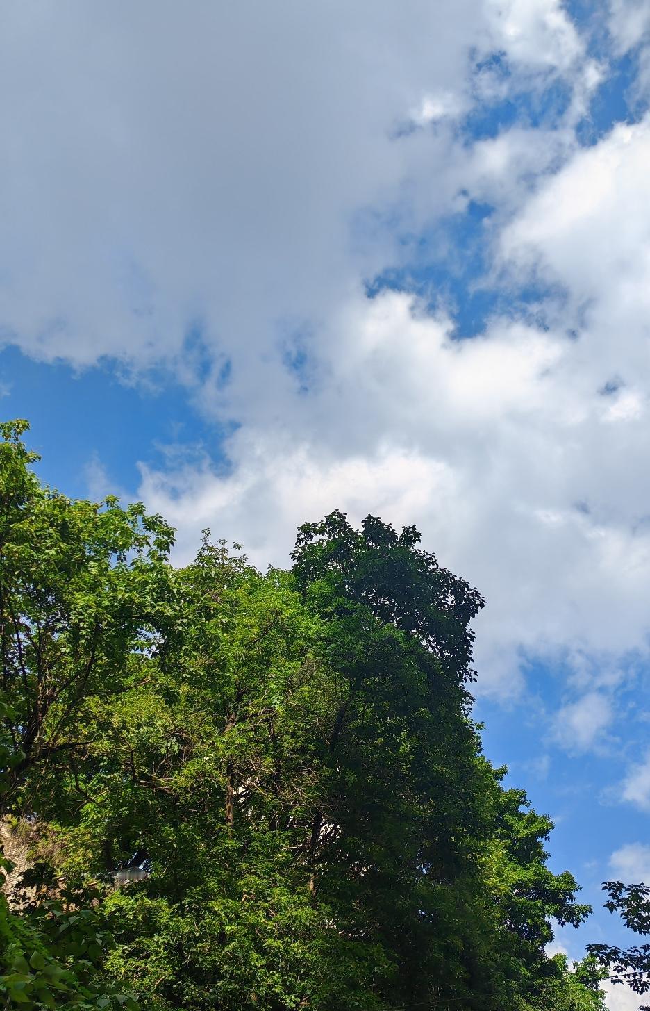 海尔智慧家的征文阅读量已完成，感谢友友们支持，昨天写了三篇忘记抽奖了，今天写了两