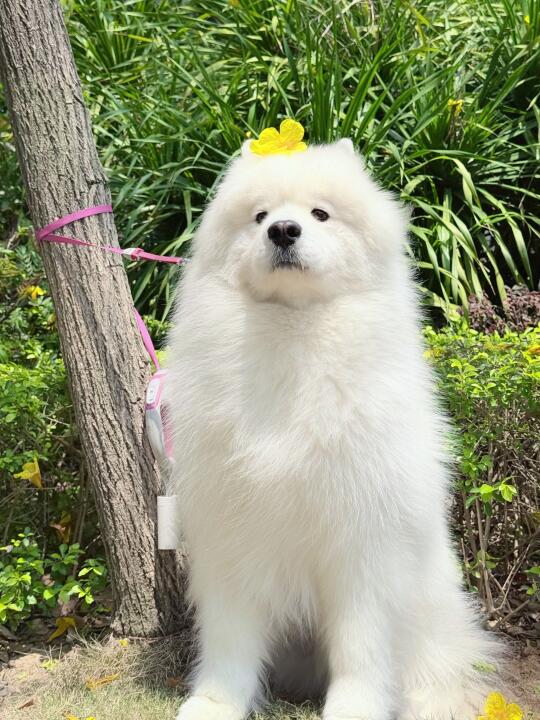 这游客照还可以吗？