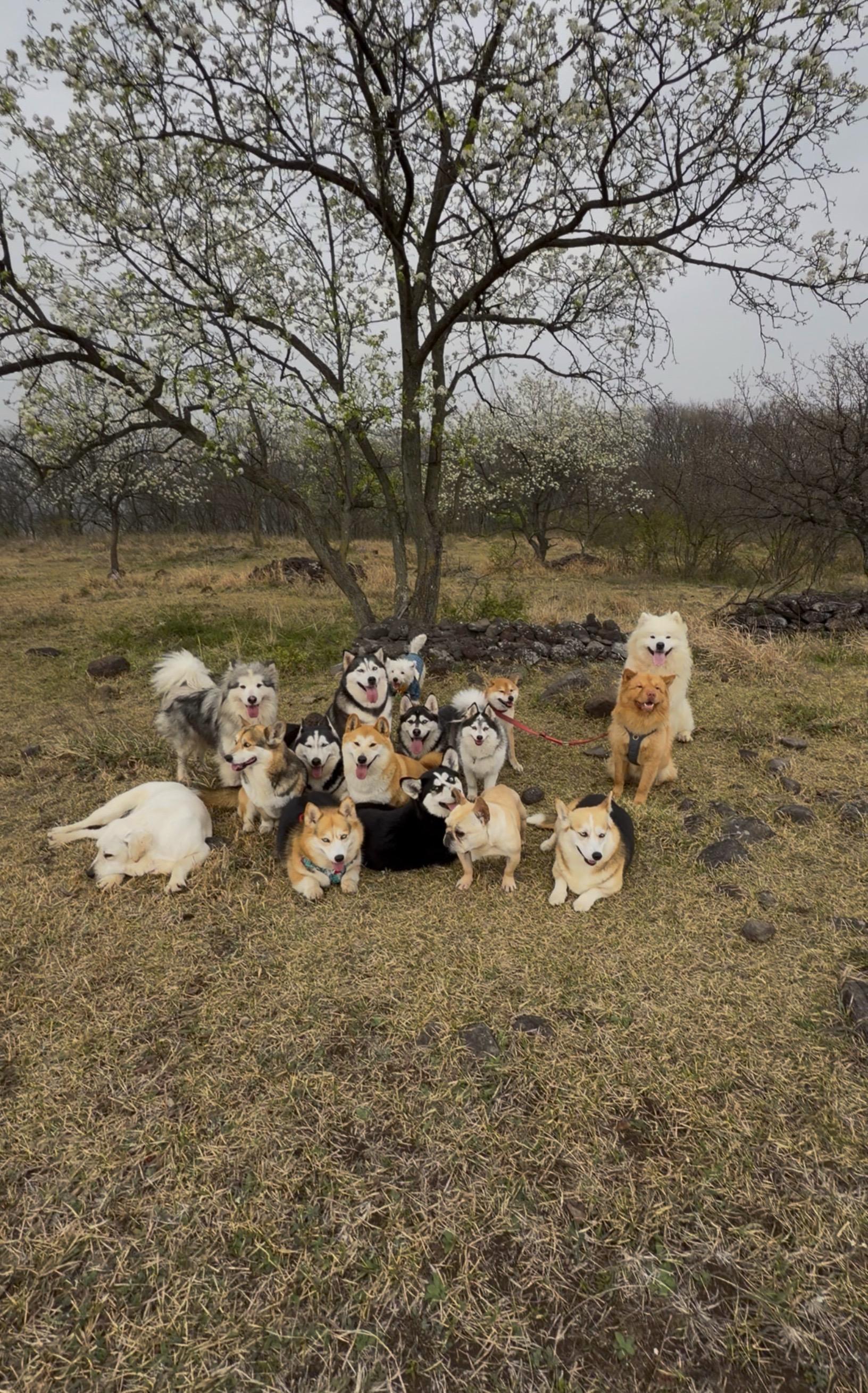 今日份团建合照来啦！