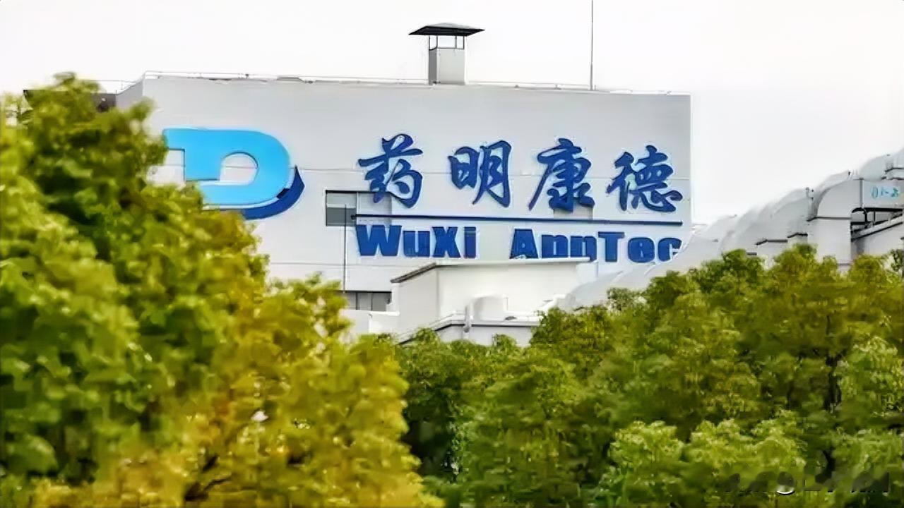 药明康德出半年报了。

根据报告，营收289亿，净利润111亿，同比增长都超过了