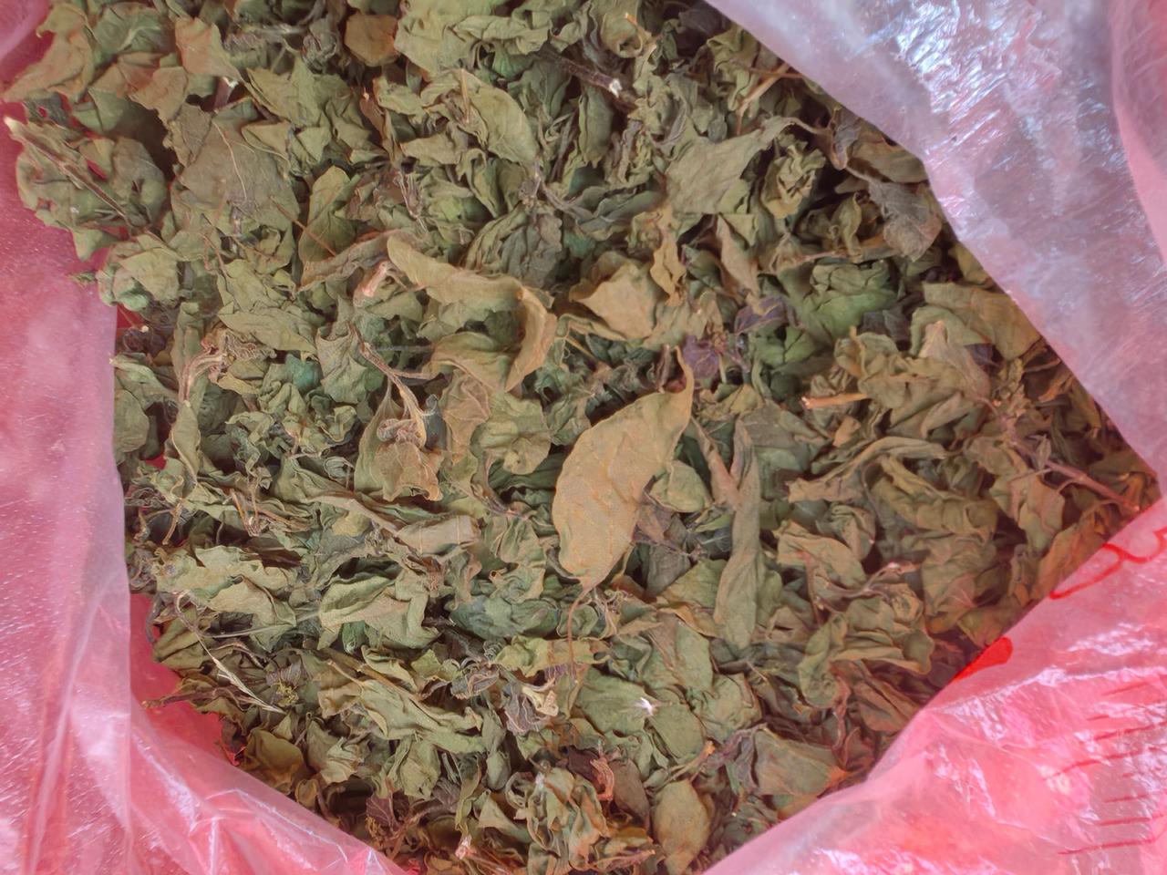 久违了的山里货，纯天然食品:黄荊叶、老荫茶（图二、图三）、金钱草