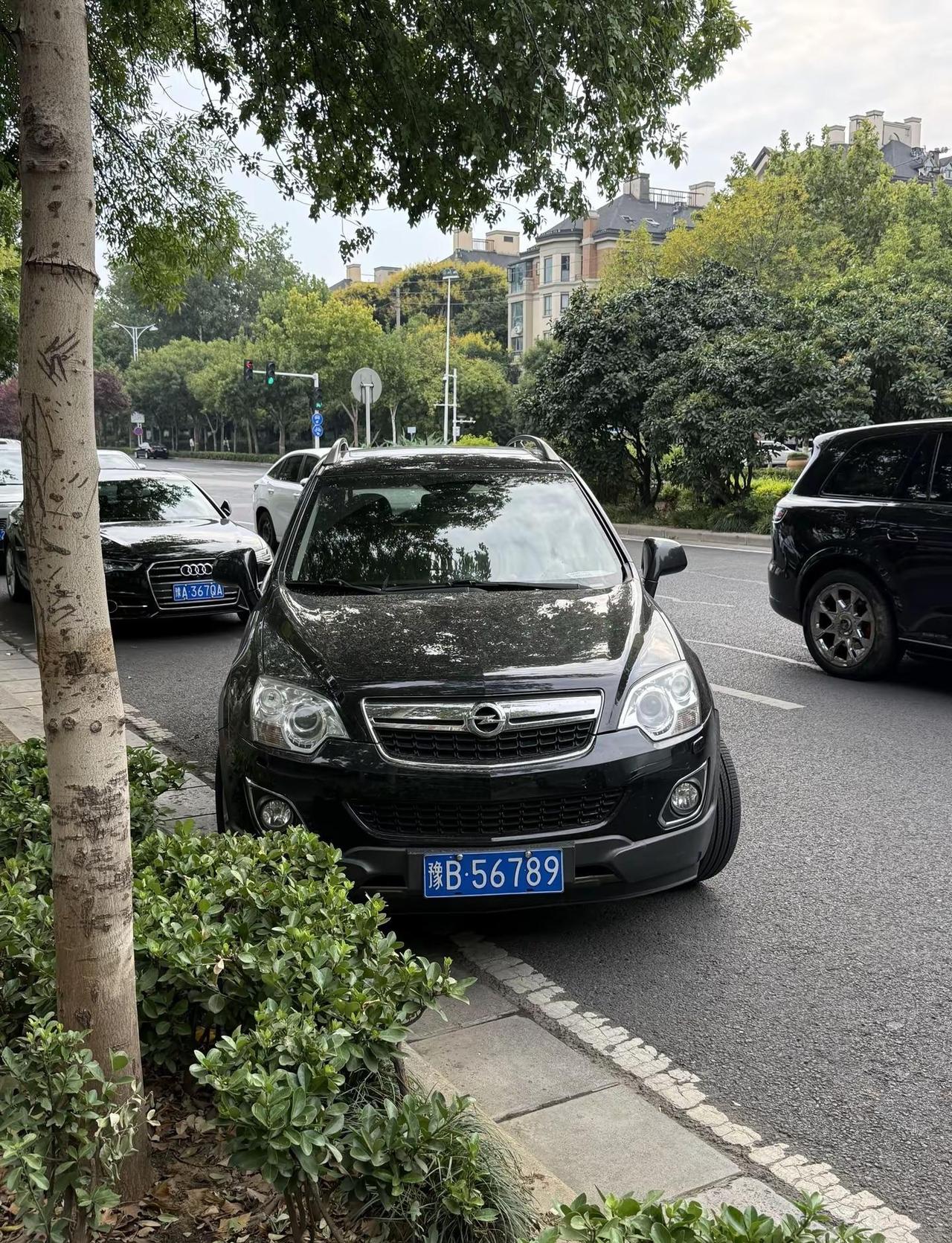 开封二线刀枪炮访郑欧宝