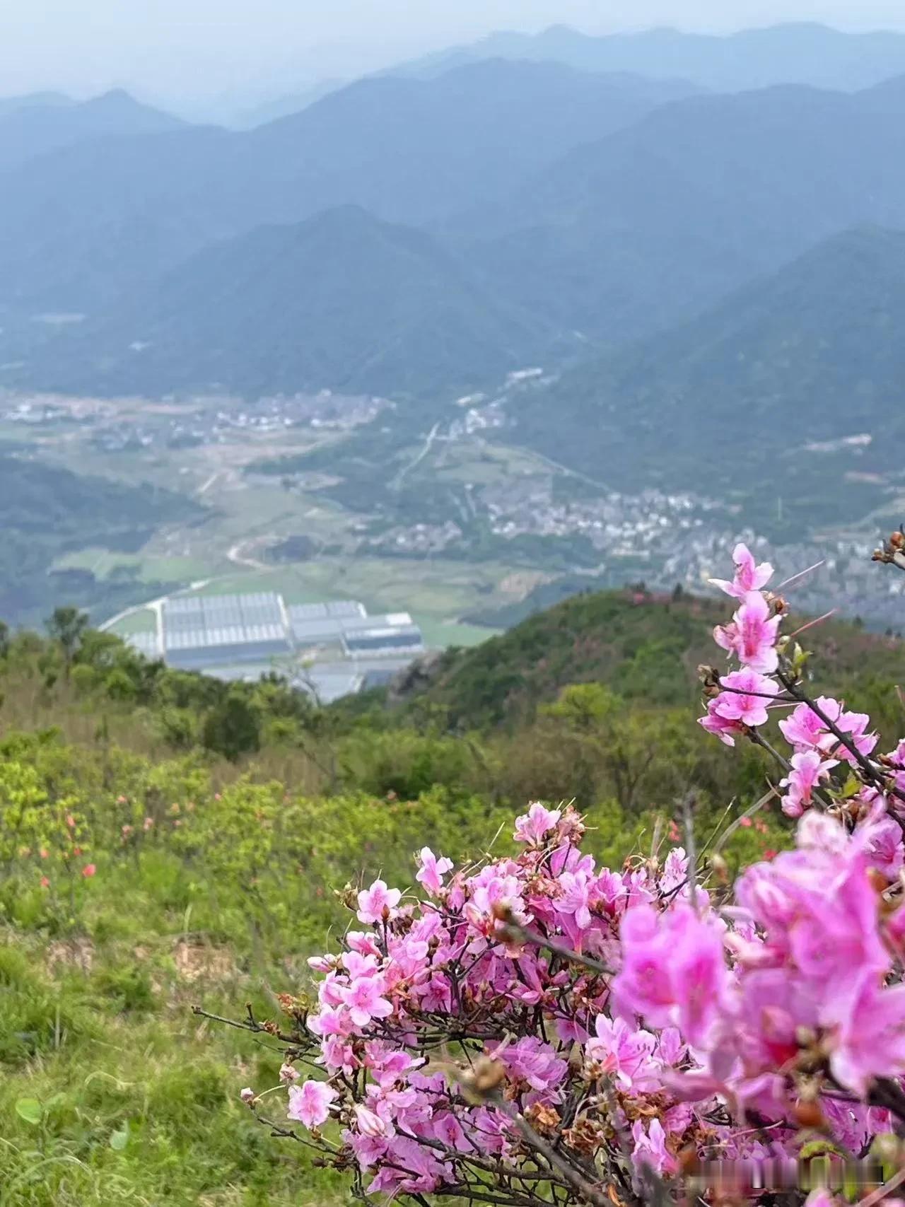 同事问我：你徒步旅行了这么久。你都爬了哪些山呀？泰山去过了吗？
我微微一笑说：去