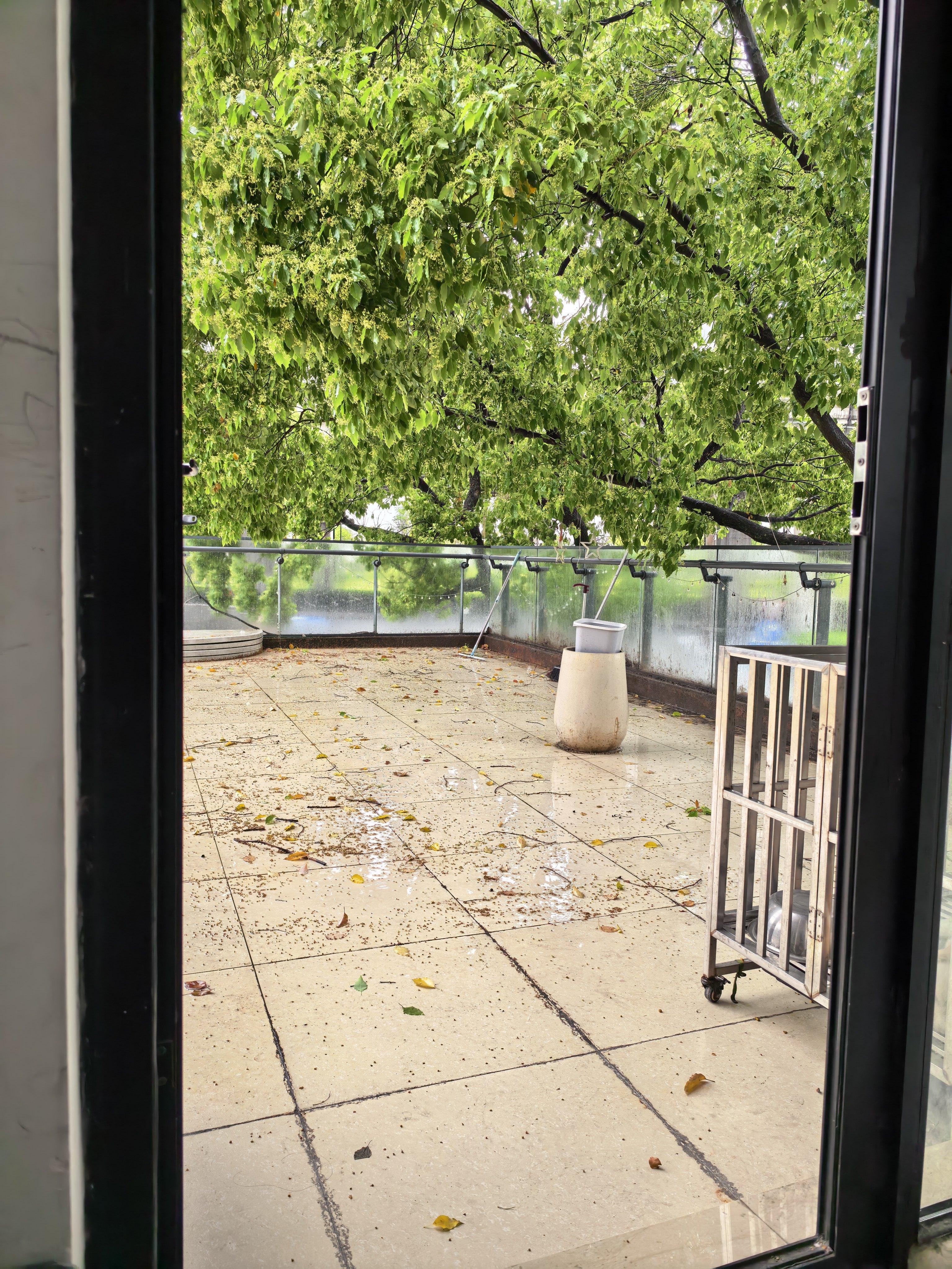 我真的没办法了，杭州怎么可以下这么大雨！我小电动车的雨衣都透了这个没穿有啥区别啊