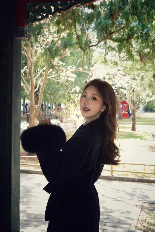 颐和园逛逛 一步一景🍃