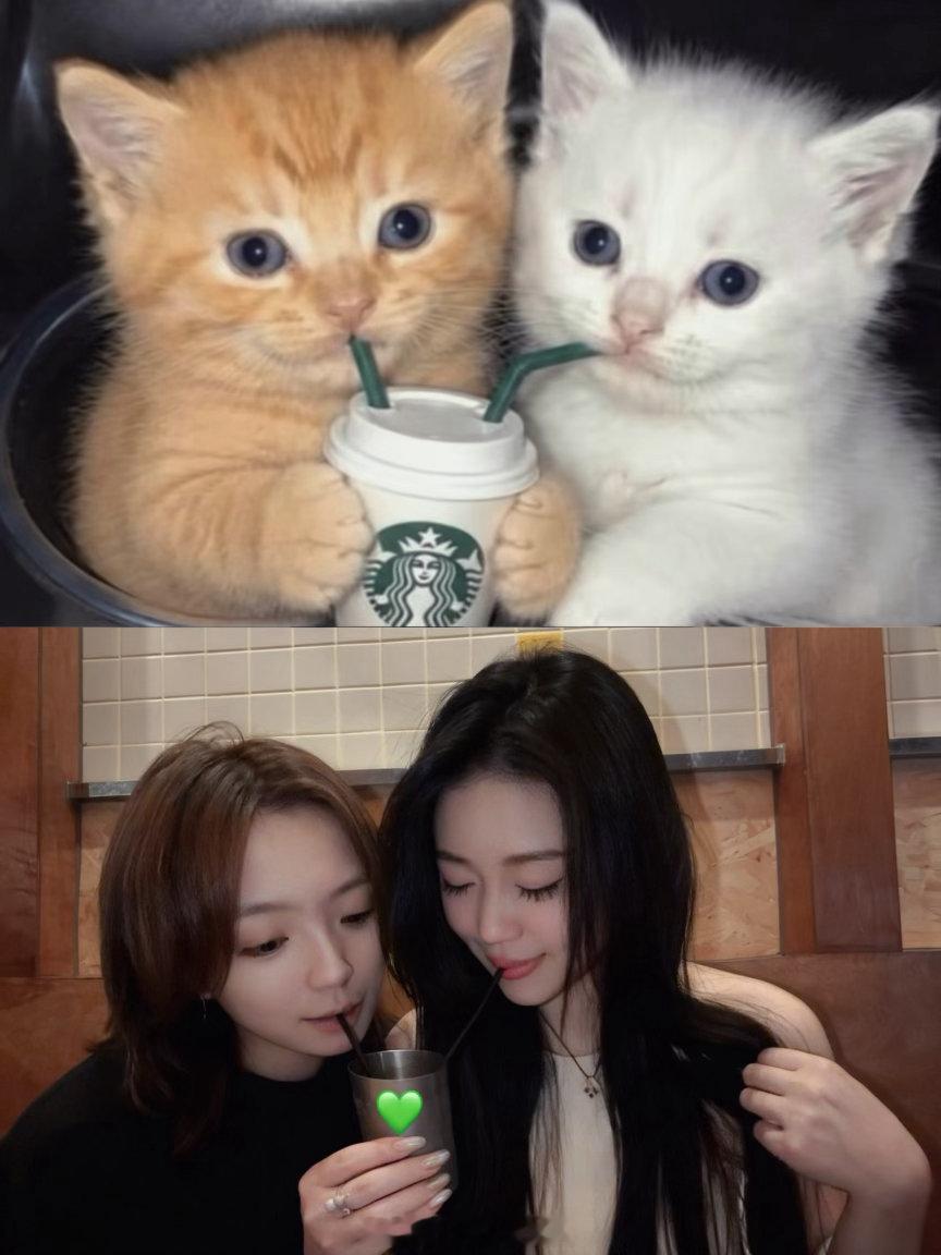 早哟老婆们🐇七夕快乐🐾💐 