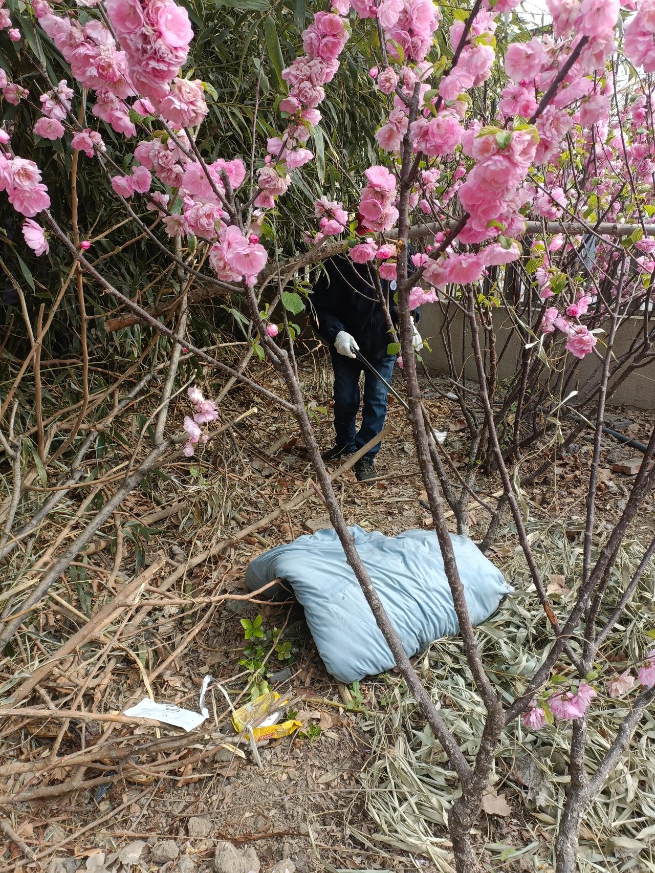 晒图笔记大赛保护小区环境要靠大家的自觉行动，不能光依赖自愿者的清理