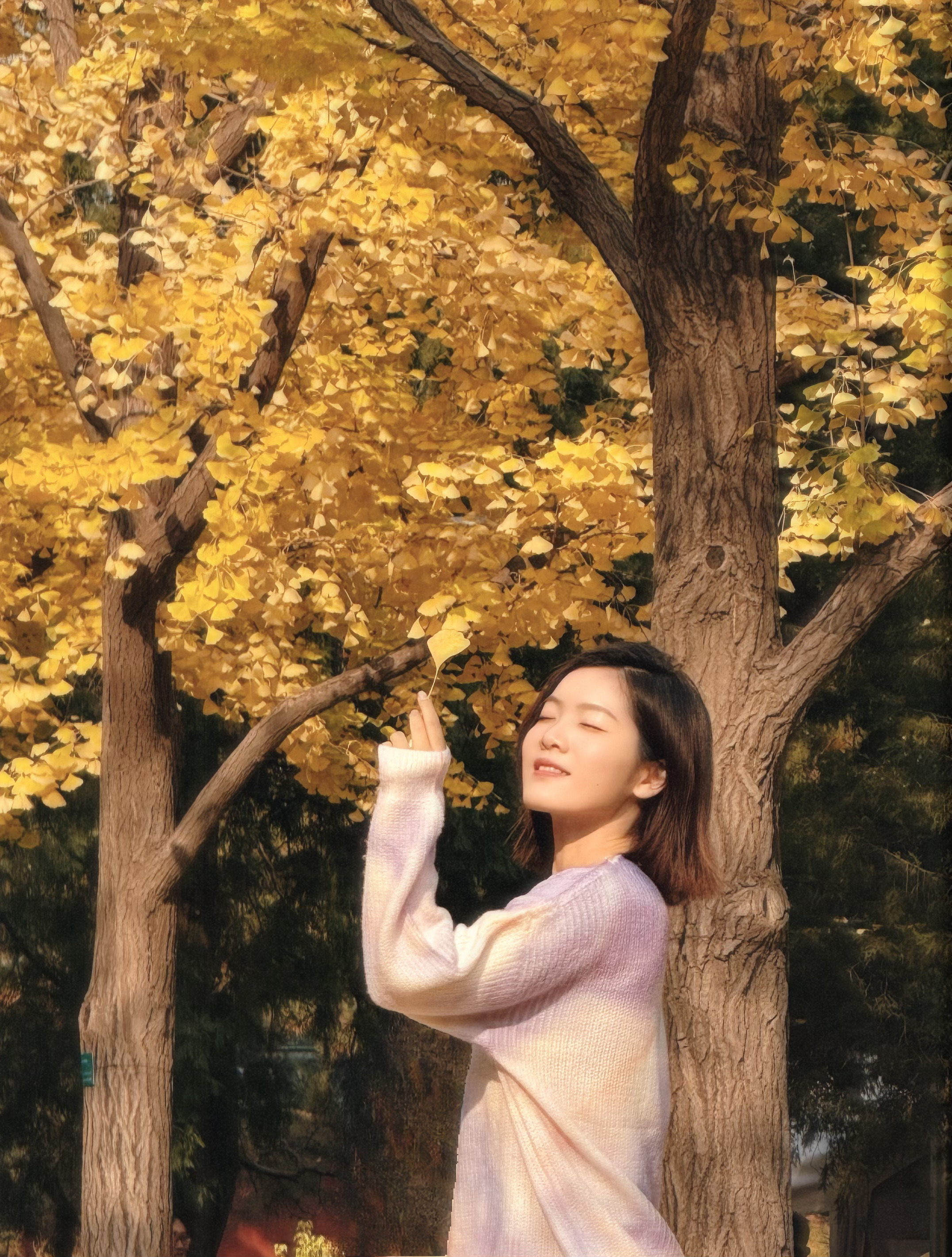 今日外拍银杏叶还在 也算赏了秋[抱一抱]你今年赏秋了吗？没有的话要尽快安排喔，它