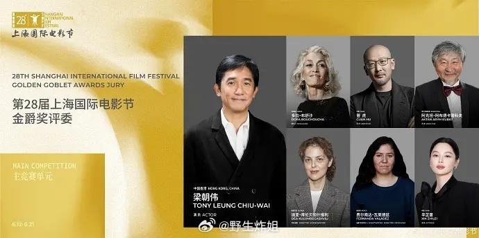 辛芷蕾：第28届上海国际电影节金爵奖评委 电影之旅还不错哟 