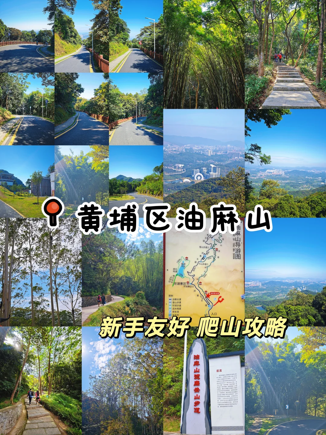 广州油麻山！适合新手友好的爬山攻略😭