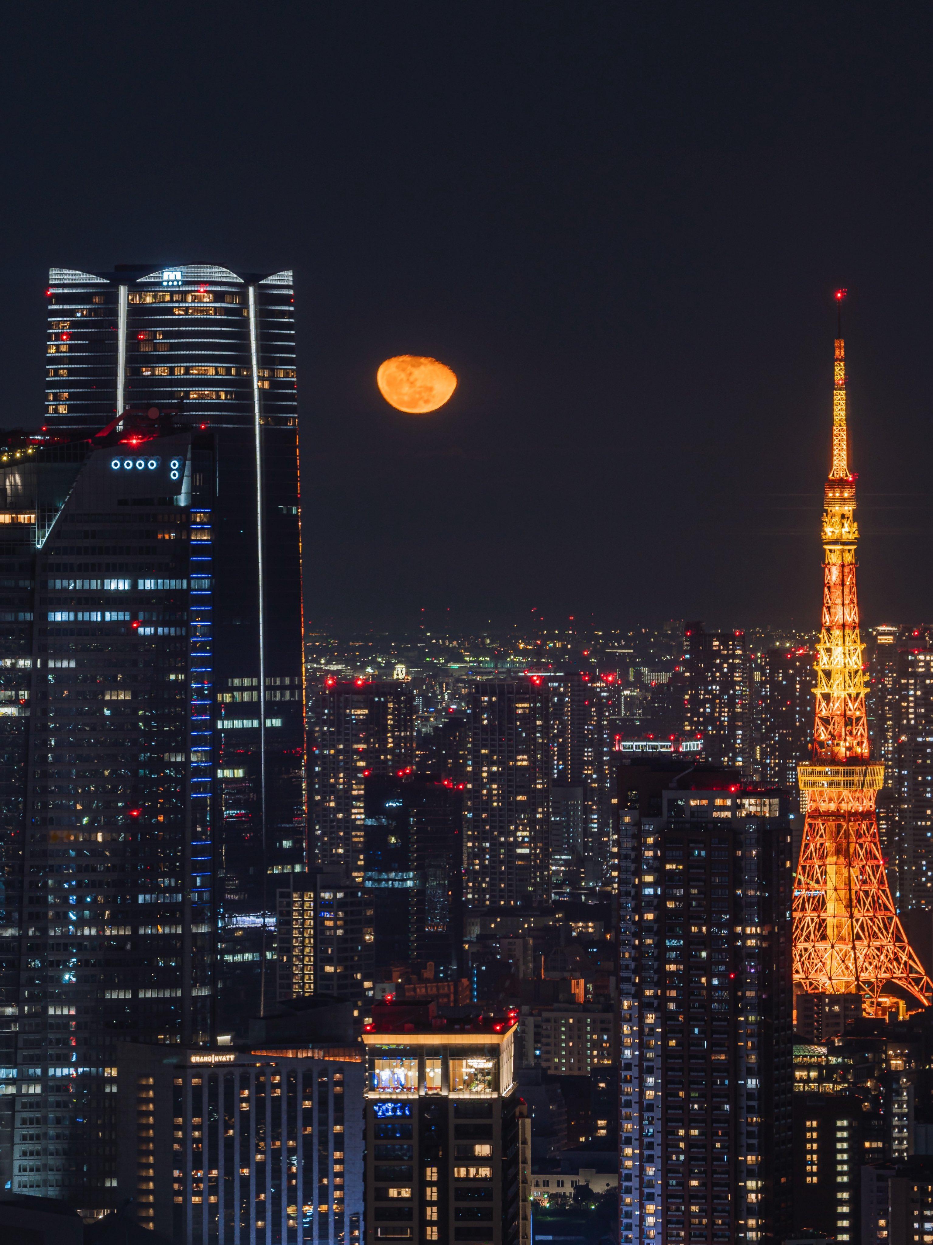 夜色下的东京 ​​​