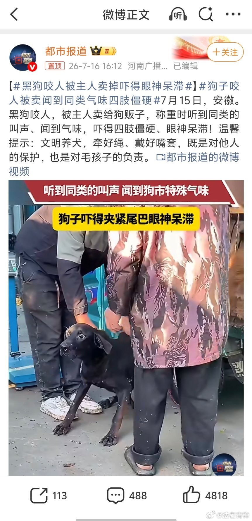 黑狗咬人被主人卖掉吓得眼神呆滞在法律层面，狗属于物的范畴，属于个人财产，狗主人有