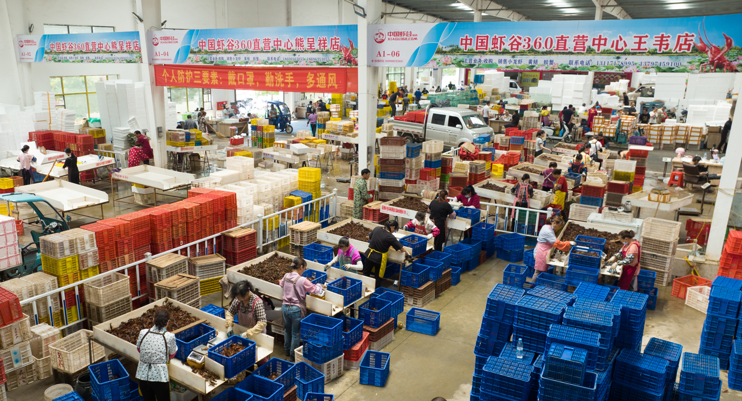 吃潜江龙虾过红火中国年谁说冬天只能吃冷冻虾？今年团年饭，我发现了潜江龙虾这个“宝