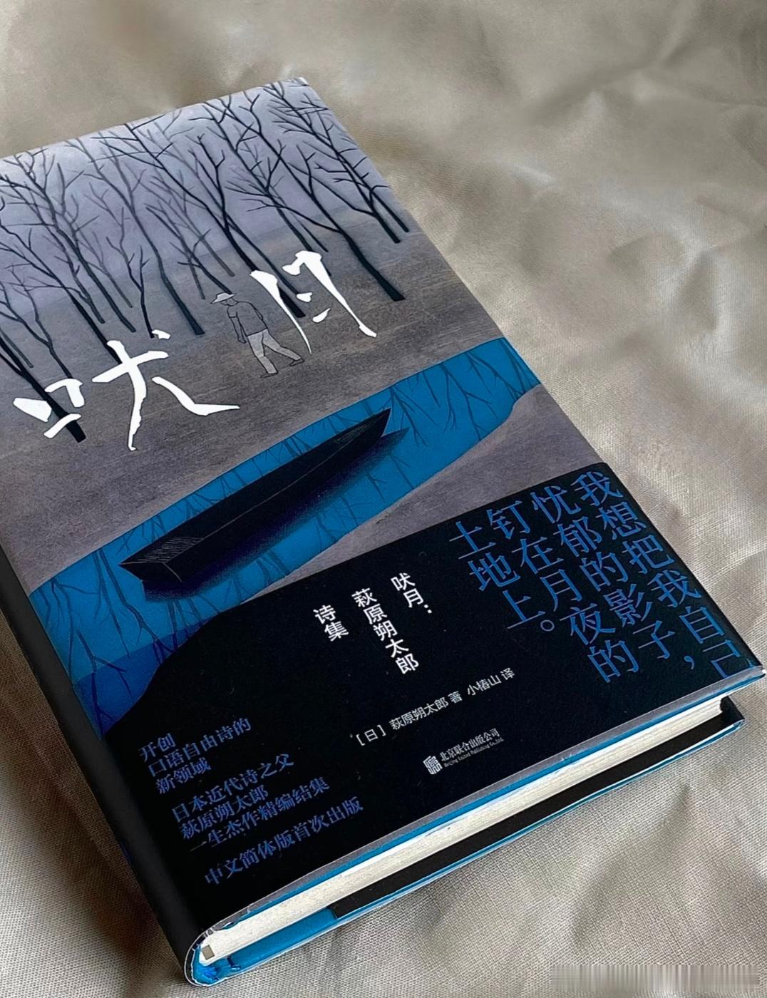 我认为，只有灵魂觉醒的人，才善于向内剖析。就像这本诗集，如月夜，旷野般，孤独与忧