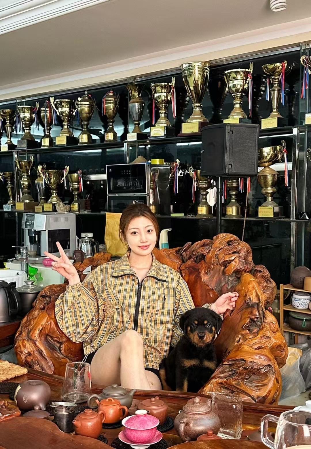 小时候vs长大后对比图。尴尬期只是一时 司机每只幼犬必须经历的成长过程...