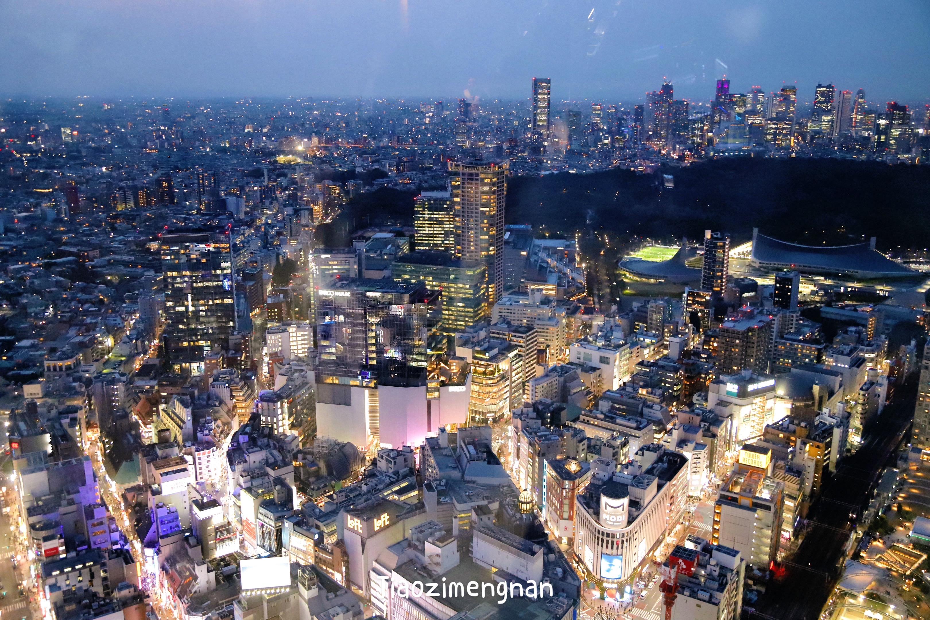 Shibuya 沉溺夜色