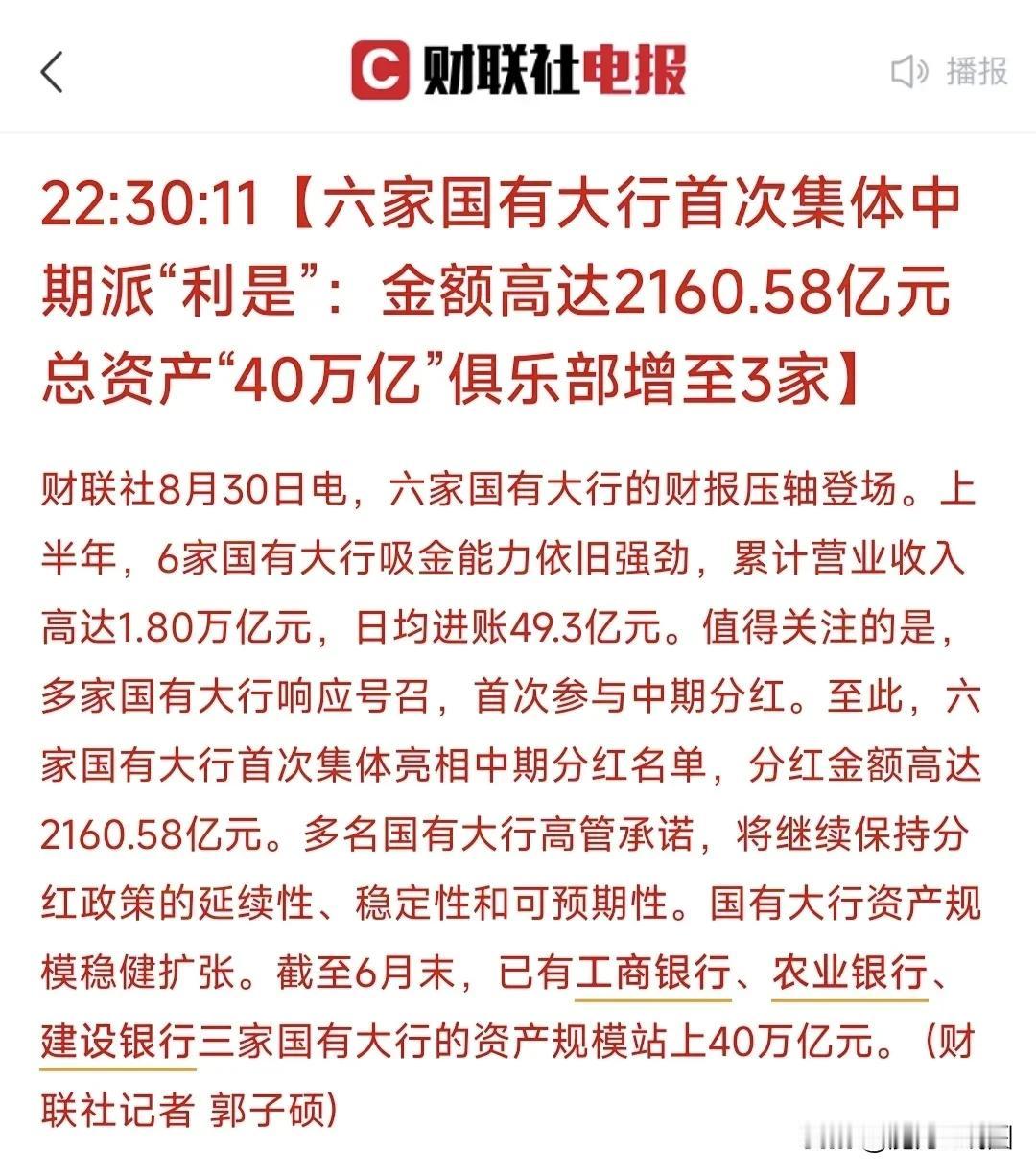 A股2024年上半年最赚钱的10大公司排名，工行仍然是A股最赚钱的公司，日赚9.