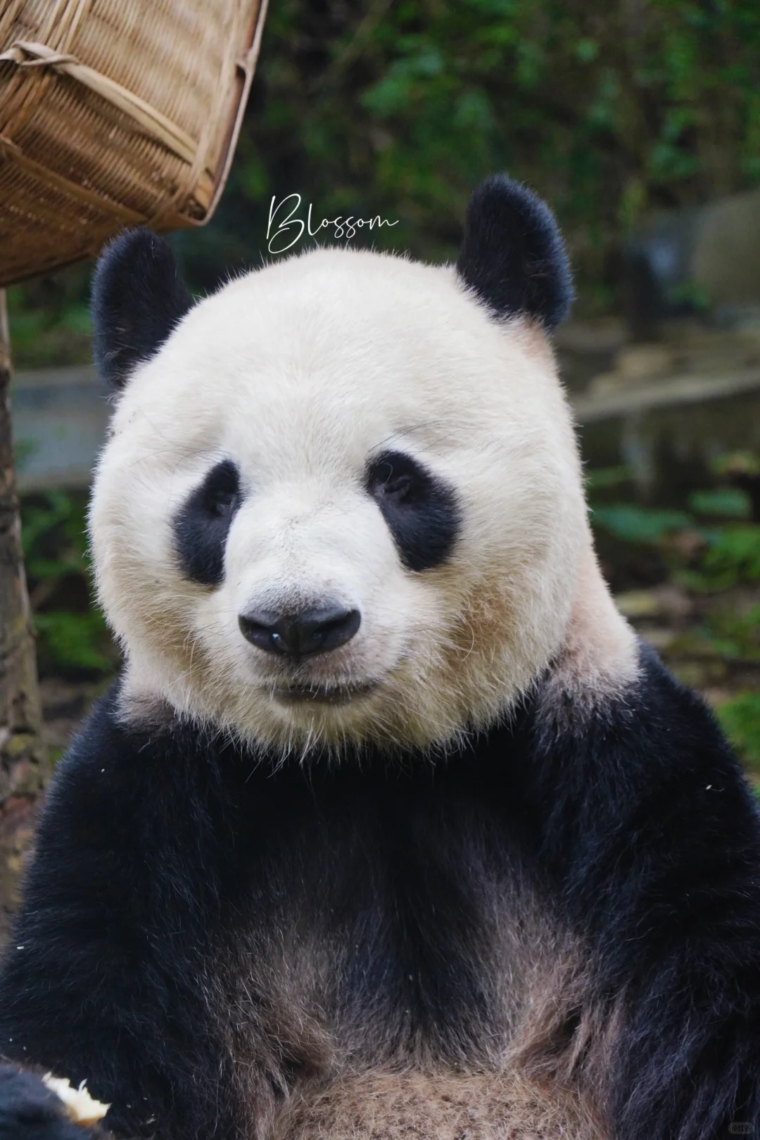241013 馒头又不知道在愁什么了