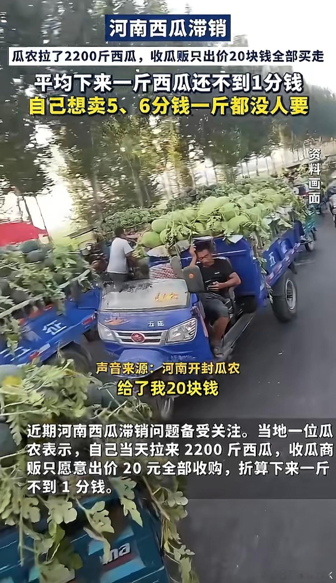 滞销西瓜被网红压价到一毛多一斤  我们这边也有种西瓜的，从种瓜地头上收1.5毛-